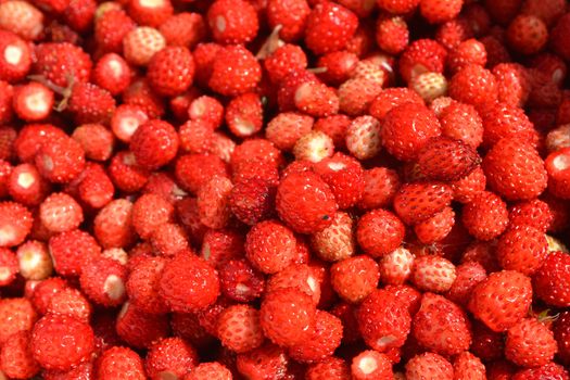 red juicy wild strawberry close up background texture
