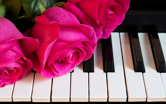 Bouquet of pink roses on the piano. Flowers on a musical instrument. Greeting card. International women's day, mother's day, romance, love, flowers