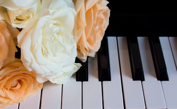 Nude and white beautiful roses on the piano. Flowers on a musical instrument. Greeting card. International women's day, mother's day, romance, love, flowers