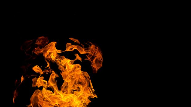 Fire patterns. Flames on a black background. Fiery patterns. Burning flame. Blazing fire. phoenix,