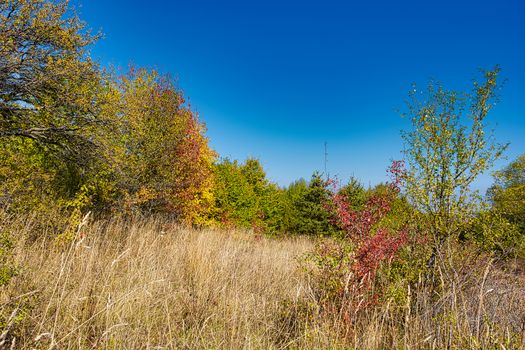 Colorful autumn landscape, tranquil fall scenery image 