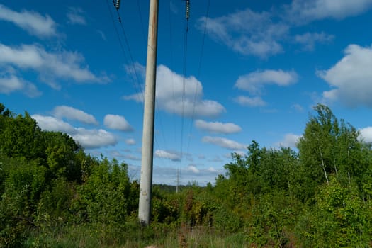 Cloudy sky over the forest. Electric transmission support