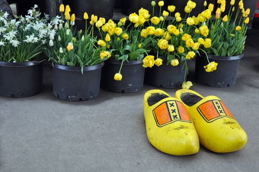 Yellow wooden shoes and tulips