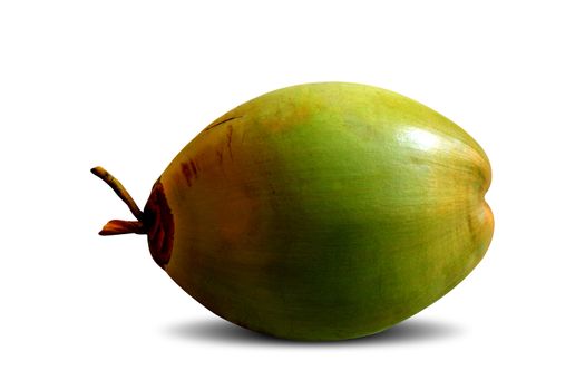 Green coconut are early harvested coconut with very hard outer shell