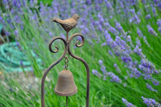 Pretty bird decorative wind chime in lavender garden