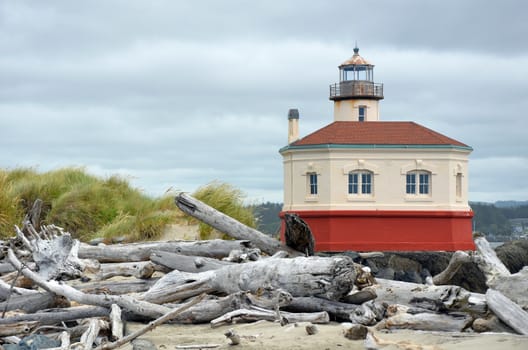 Lighthouse and driftwood on the pacific coast