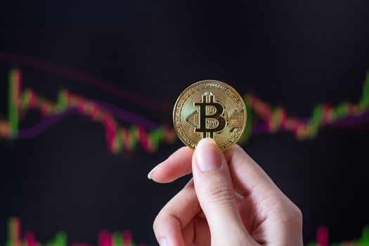 A girl holds a Bitcoin coin sitting in front of a laptop analyzing a trader's price chart on the exchange or Forex. Bitcoin in hand against the background of trading charts. Cryptocurrency