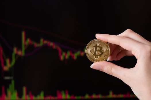 A girl holds a Bitcoin coin sitting in front of a laptop analyzing a trader's price chart on the exchange or Forex. Bitcoin in hand against the background of trading charts. Cryptocurrency