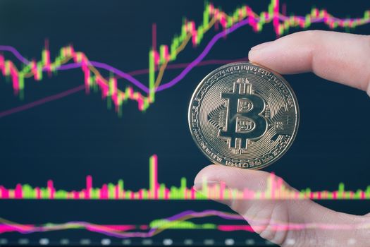 holds a Bitcoin coin sitting in front of a laptop analyzing a trader's price chart on the exchange or Forex. Bitcoin in hand against the background of trading charts. Cryptocurrency