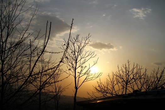 sunset sunrise tree, red orange pink sky landscape