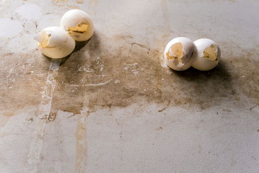 shell of gecko eggs stick on the wall