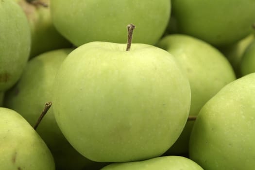 green fresh organic fruit apple in market