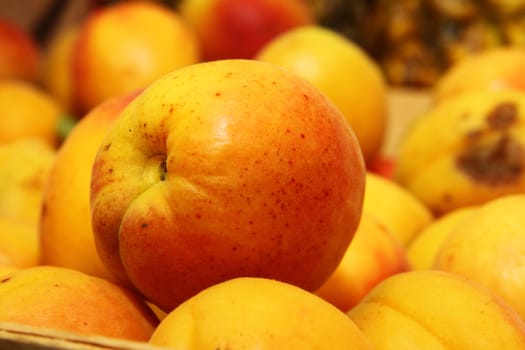 yellow fresh organic fruit apricot in market