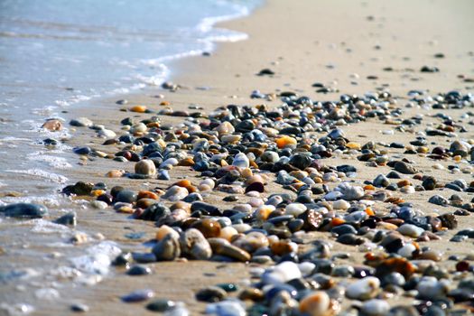 Sea beach with small rocks, close up