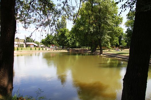 lake in a park with trees and a bridge