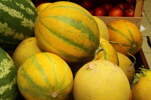 yellow organic fresh melon in the market