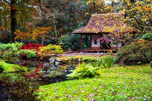 Romantic The Hague public Japanese garden in the autumn season