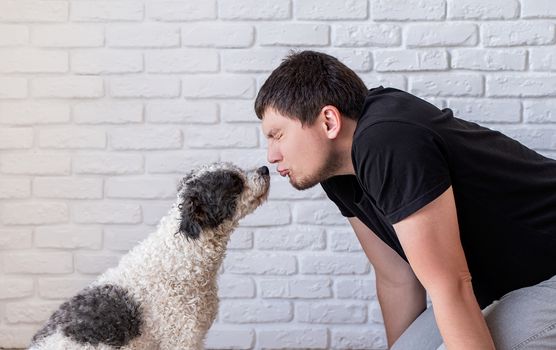 Stay home. Pet care. Young funny man kissing his bichon frise dog. Copy space