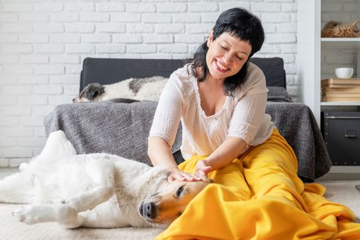 Stay home. Pet care. Middle aged woman patting her shepherd dog at home