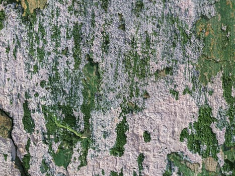 Old obsolete wall with layers of green paint and white plaster peeling