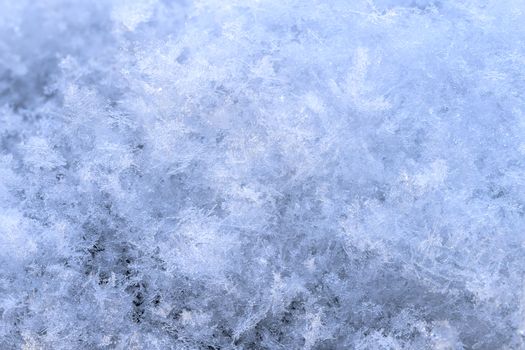 snow array with high magnification winter background.