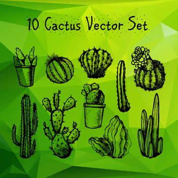 Hand Drawn Isolated Cactuses Set. Cactus in vintage style for textiles, print and etching. Line-art. Vector