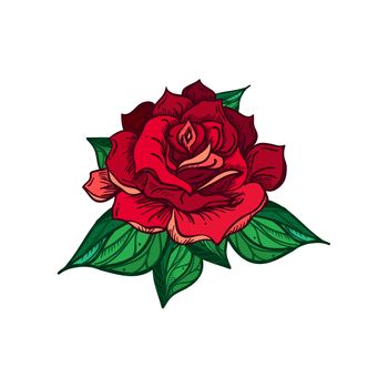Hand Drawn Wedding Rose. Flower Template for wedding, holiday, celebration. Rose for print, tattoo and digital art. Vector