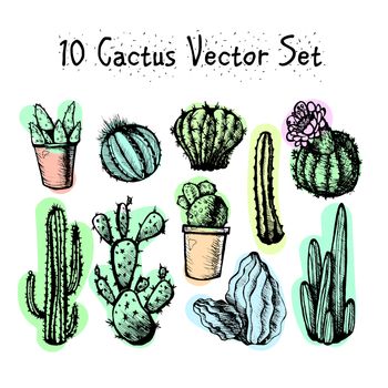 Hand Drawn Isolated Cactuses Set. Cactus in vintage style for textiles, print and etching. Line-art. Vector