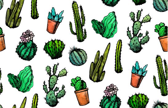 Hand Drawn Isolated Cactuses Seamless Pattern. Cactus Ornament in vintage style for textiles, print and etching. Line-art. Vector