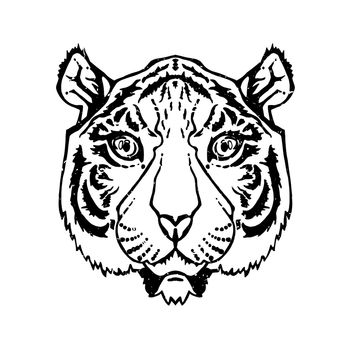 Illustration of isolated tiger head in vintage style for textiles, print and tattoo. Line-art. Vector