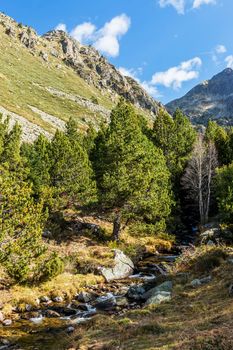 Beautiful mountain in Andorra (Pyreness) 