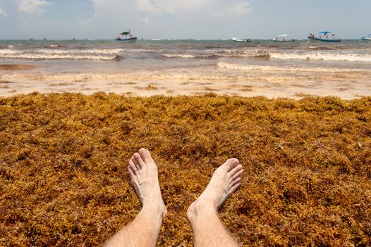 Feet on Sargassum seaweed at the beach, near Tulum, Mexico