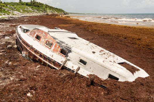 Stranded boat surrounded by Sargassum seaweed at Playa Santa Fe in Tulum, Mexico.