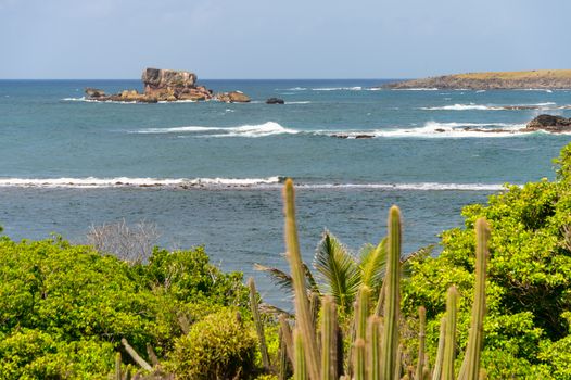 Table du Diable (Devil's Table) in the Savanna of Petrifications in Martinique