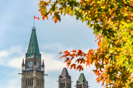 Peace Tower of the  Canadian Parliament with Autumn Foliage in Ottawa.