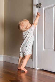 Young toddler baby about 12 months old trying to reach the door handle to escape from the room