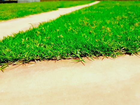 selective focus on grass above the ground surface