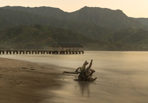 Sunrise lights driftwood on Hanalei Bay with the Na Pali coast in the background near Hanalei, Kauai, Hawaii