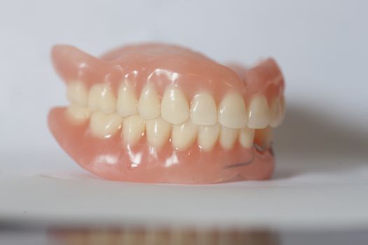 The artificial medical denture on white background