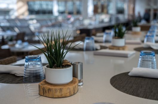Large modern table for sharing in bright restaurant or cafe set for lunch or breakfast