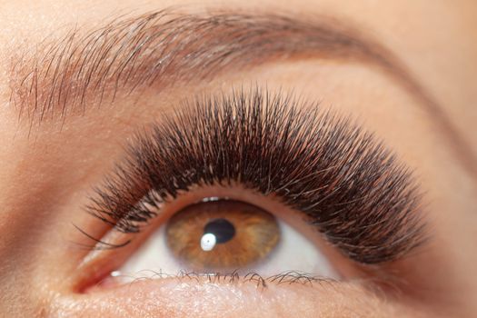 Treatment of Eyelash Extension. Lashes. Woman Eyes with Long Eyelashes.