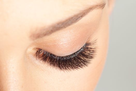 Treatment of Eyelash Extension. Lashes. Woman Eyes with Long Eyelashes.