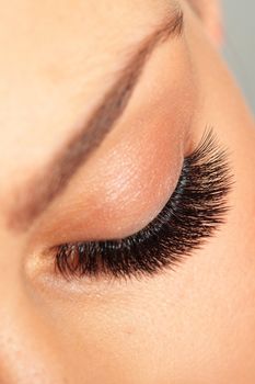 Treatment of Eyelash Extension. Lashes. Woman Eyes with Long Eyelashes.