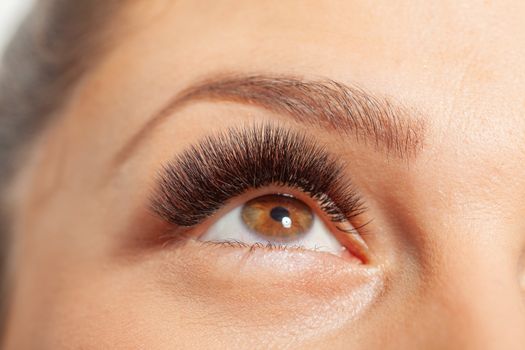 Open Eyes with Long Eyelashes False Extensions. Treatment of Eyelash Extension. Lashes. 