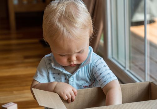 Young caucasian toddler looking and reaching inside a cardboard box with a serious expression