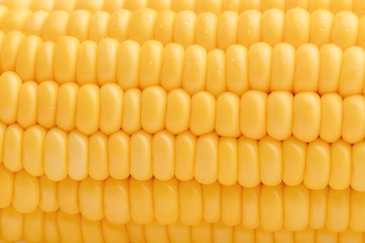 Close-up seeds of sweet corn in a row. A drop of water on the yellow seed. Abstract background and texture of freshness corn.