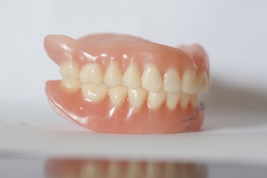 The artificial medical denture on white background