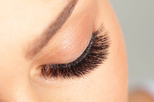Treatment of Eyelash Extension. Lashes. Woman Eyes with Long Eyelashes.