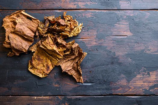 dry leafs tobacco Nicotiana tabacum and tobacco leaves on old wood planks table dark top view space for text.