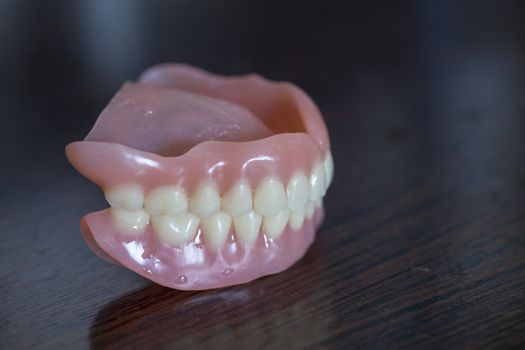 The artificial medical denture on black background